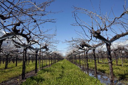 California Wine May Not Pair With French Cheese in Talks