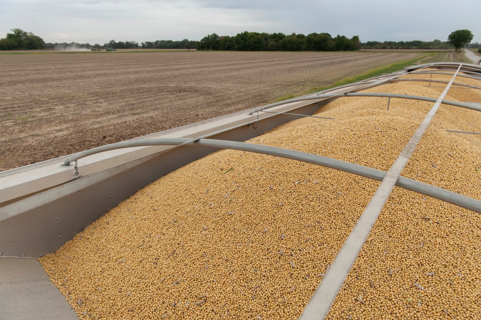 USDA Confirms More Soybean Exports to China and First Wheat Sale - Bloomberg