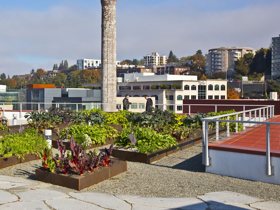 The roof garden on the Stack House Apartments in Seattle's South Lake Union neighborhood.