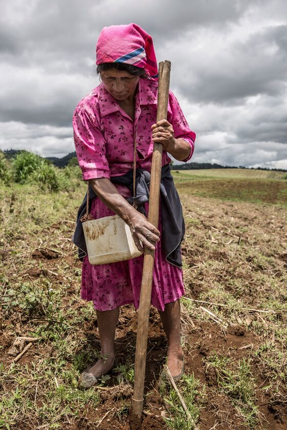 Climate Change Has Central Americans Fleeing to the U.S.