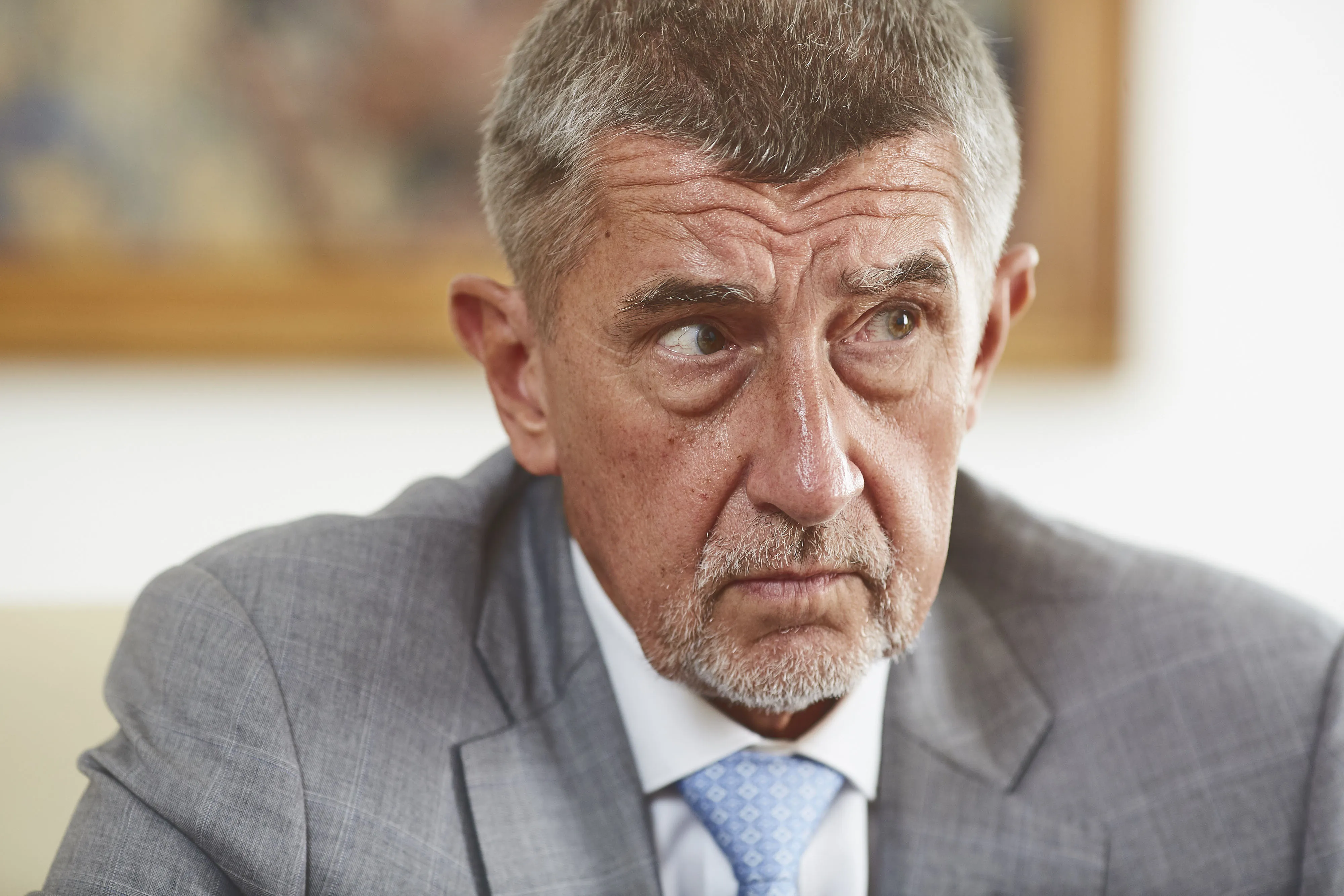 Prime Minister Andrej Babis