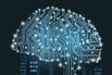 Digital Human Brain Covered with Networks