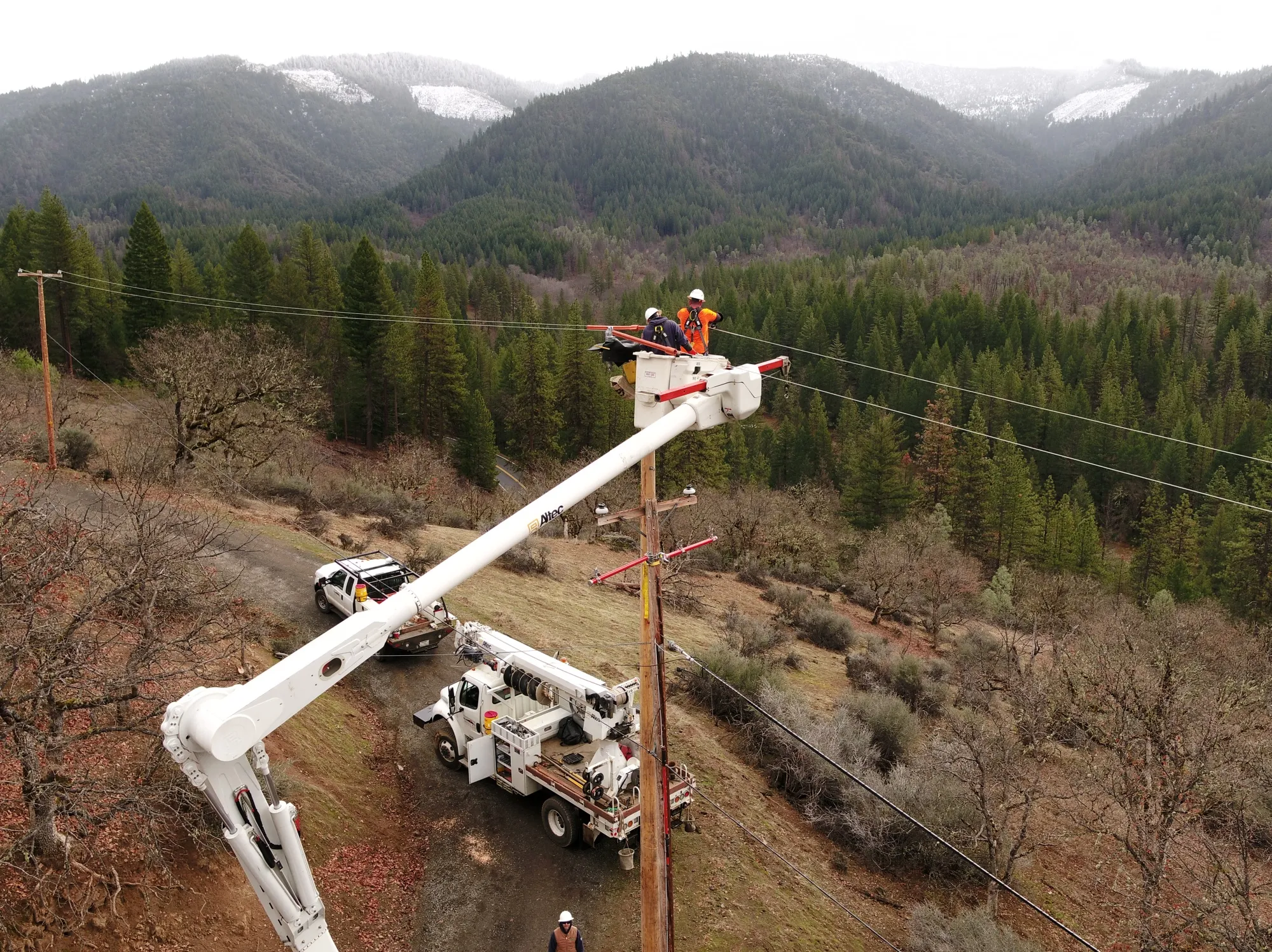 Trinity utility employees work on power lines.