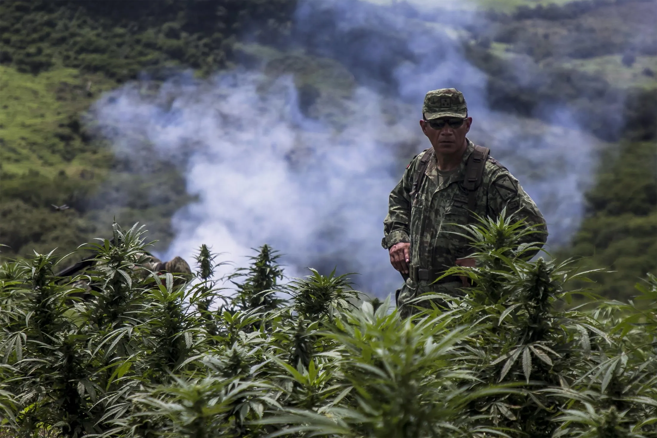A Mexican soldier secures an illegal marijuana grow in Sinaloa, Mexico, in&nbsp;2019.