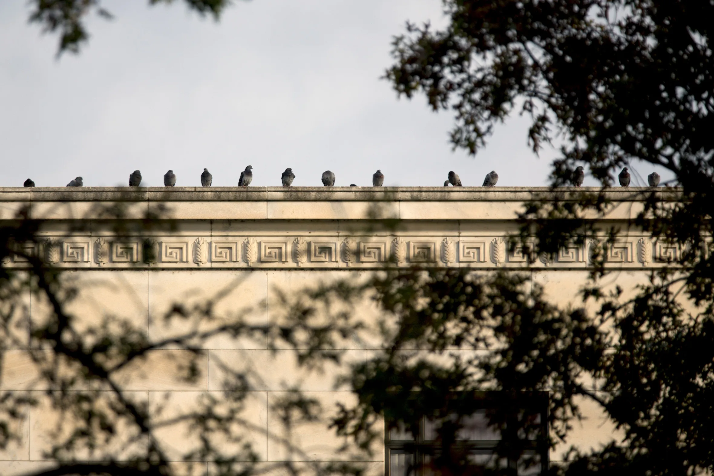 Views Of The Federal Reserve Ahead Of Federal Open Market Committee Announcement