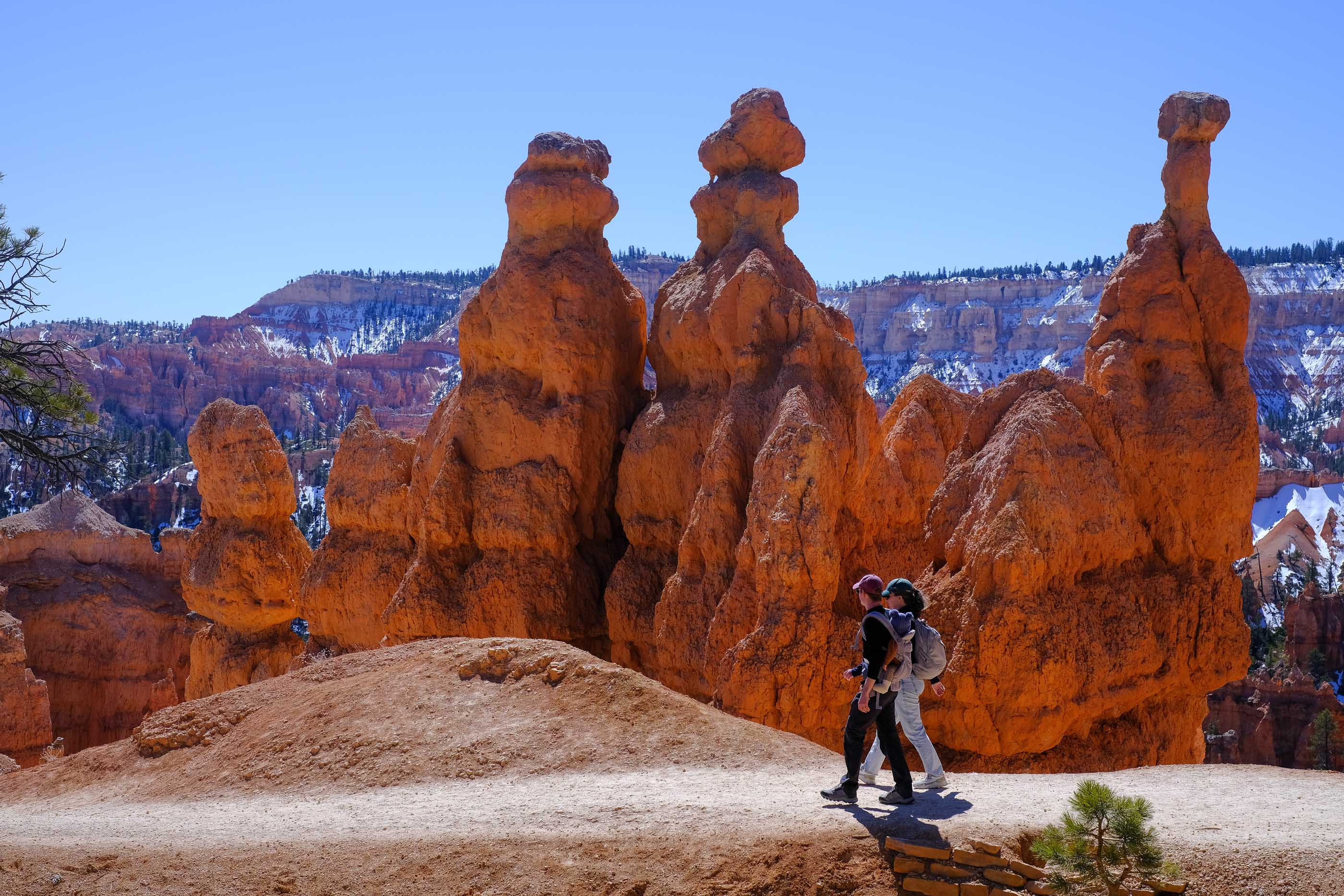 Visitors hike along a trail in Bryce Canyon National Park in Tropic, Utah, on March 9, 2026. (Photo by Michael Yanow/NurPhoto via Getty Images) Photographer: Michael Yanow/Getty Images /NurPhoto