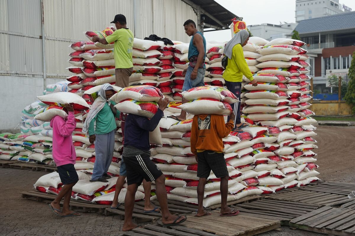 Indonesia to Boost Rice Import Quota on Outlook for Lower Crop - Bloomberg