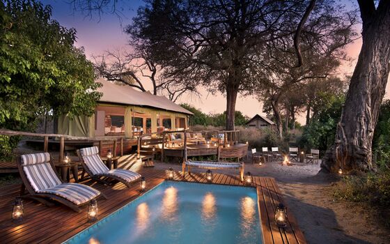 Post-Covid, Safari Companies Rethink Who Should Stay at Their Lodges