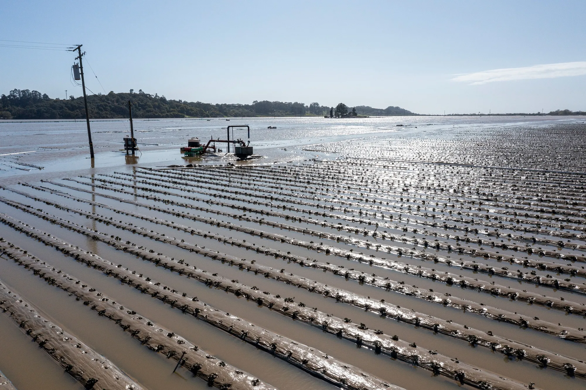 Flooded strawberry fields in Pajaro, California, on&nbsp;March 15.&nbsp;
