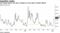 VIX jumps above one-year average as virus spurs investor jitters