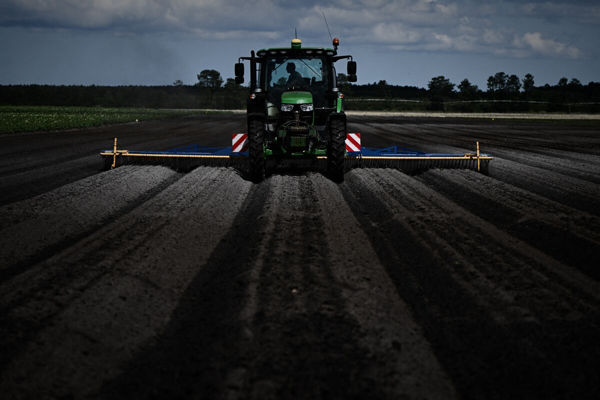 assets.bwbx.io image