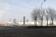 Polysilicon Companies in China's Xinjiang Region