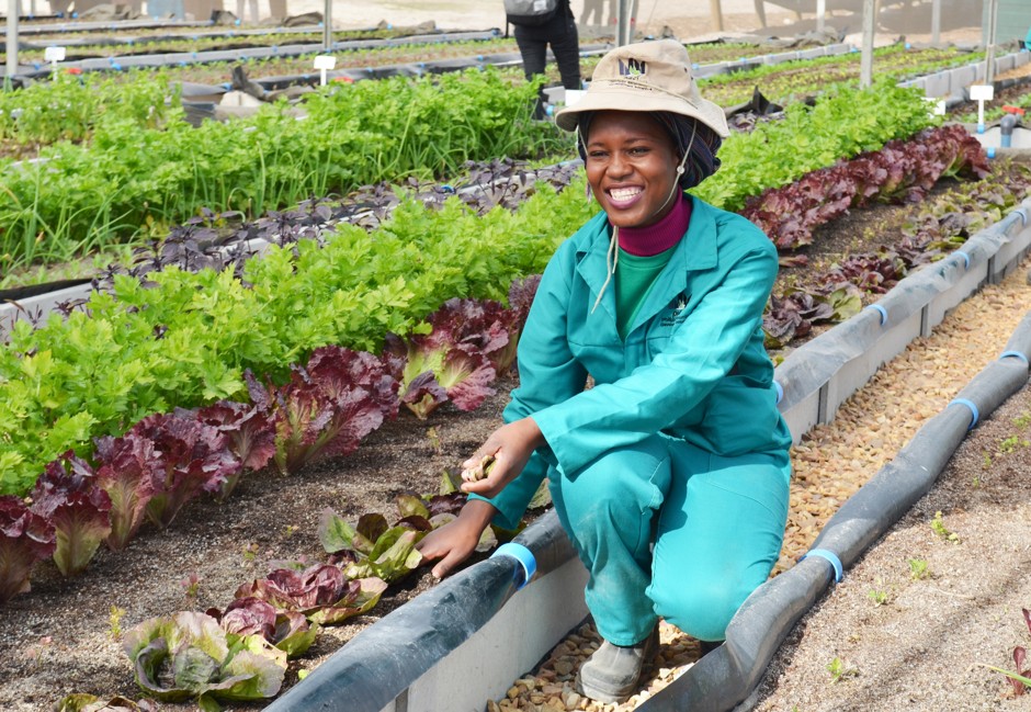 Farm manager Zodidi Meke at the Philippi Urban Agriculture Academy in Cape Town.