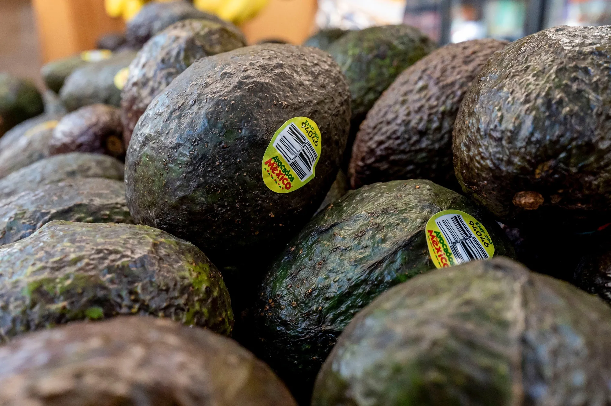 Avocados from Mexico at a grocery store in San Francisco, California, US.