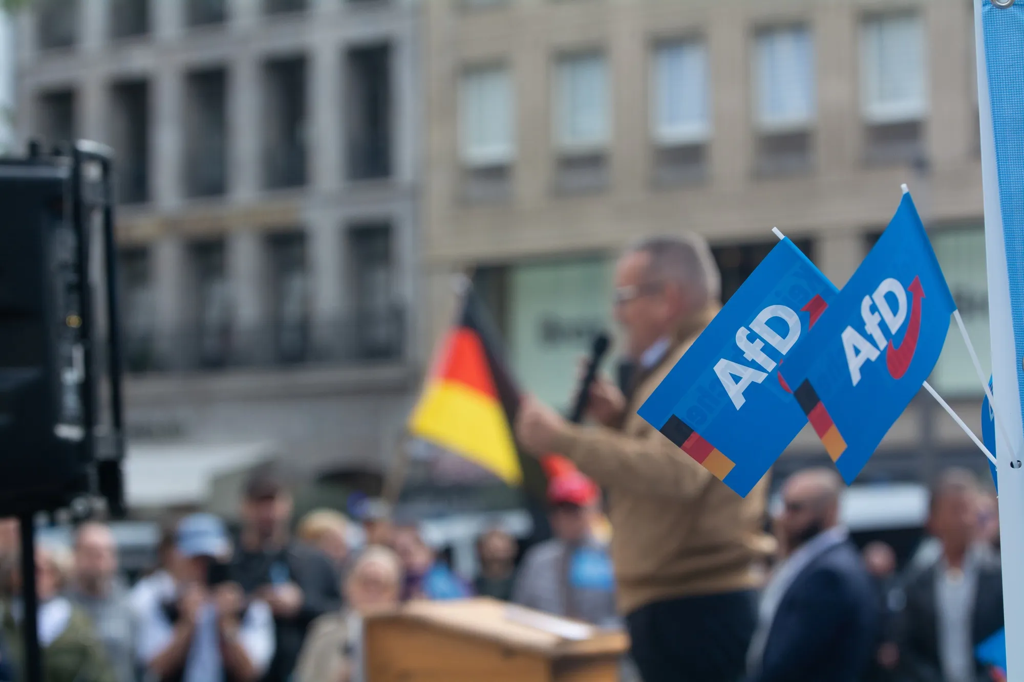 An AfD Party rally in Duesseldorf, on Sept. 14.