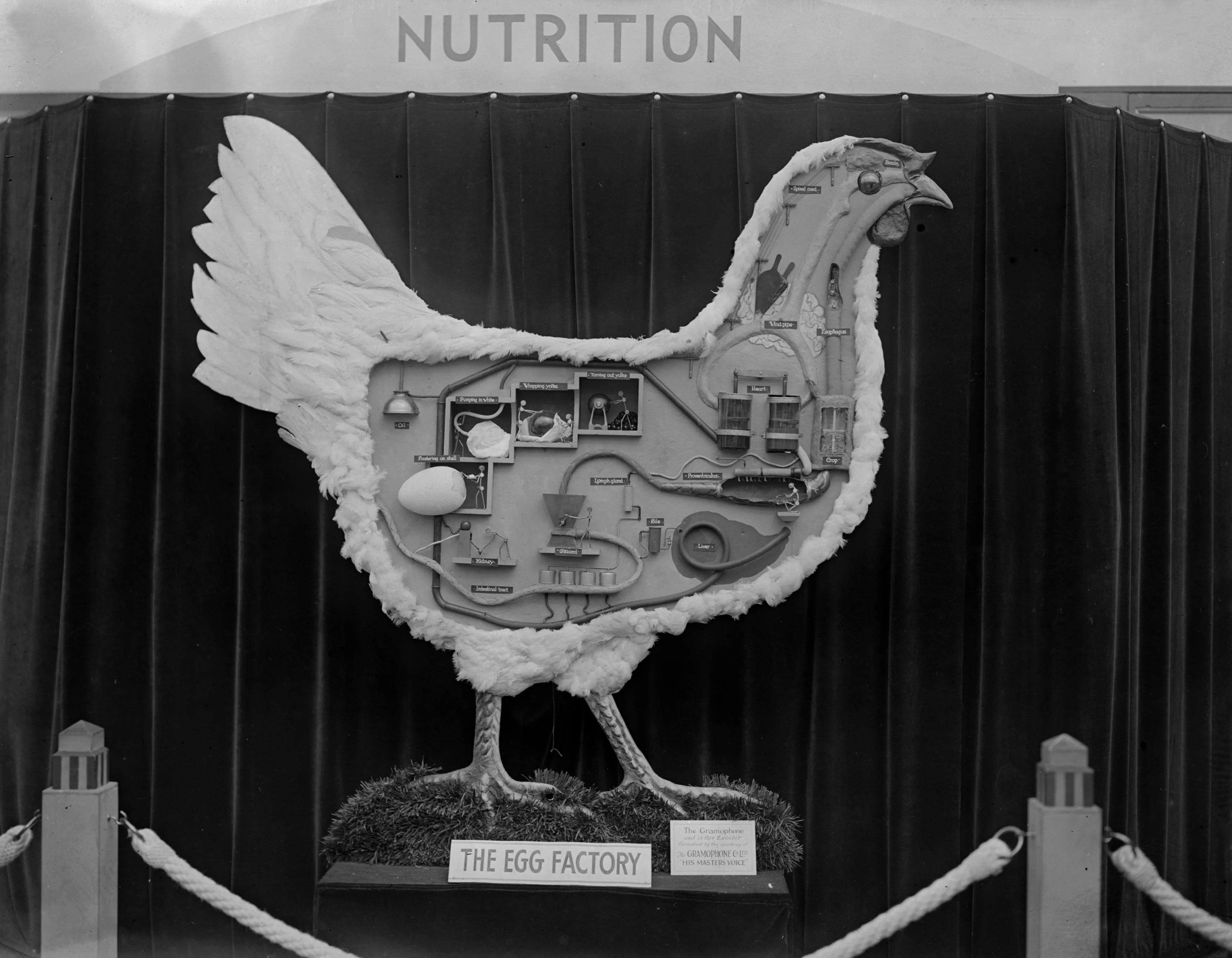 The chicken or the egg?