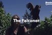 Meet the Falconer Who Earns $20,000 a Month