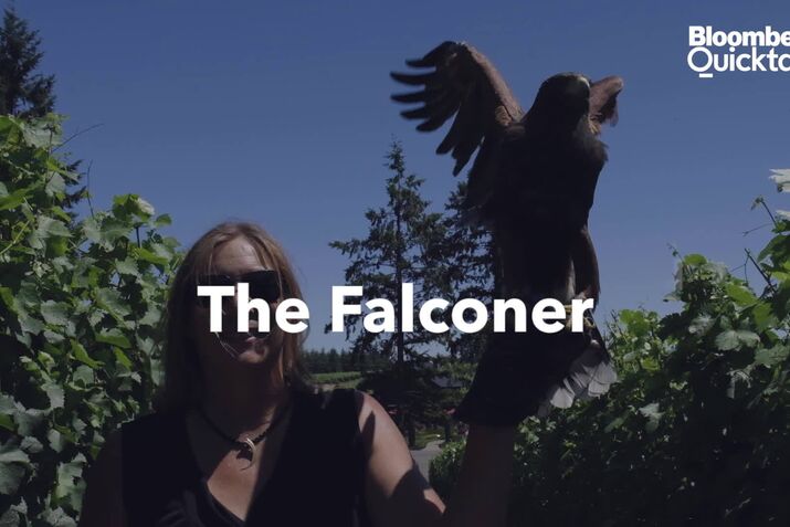 Meet the Falconer Who Earns $20,000 a Month