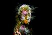 1478620079_UNDERWATER-ART_49-evolution-Mexico
