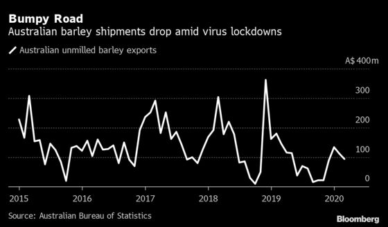 China’s Swipe at Australian Barley Sparks Quest for New Markets