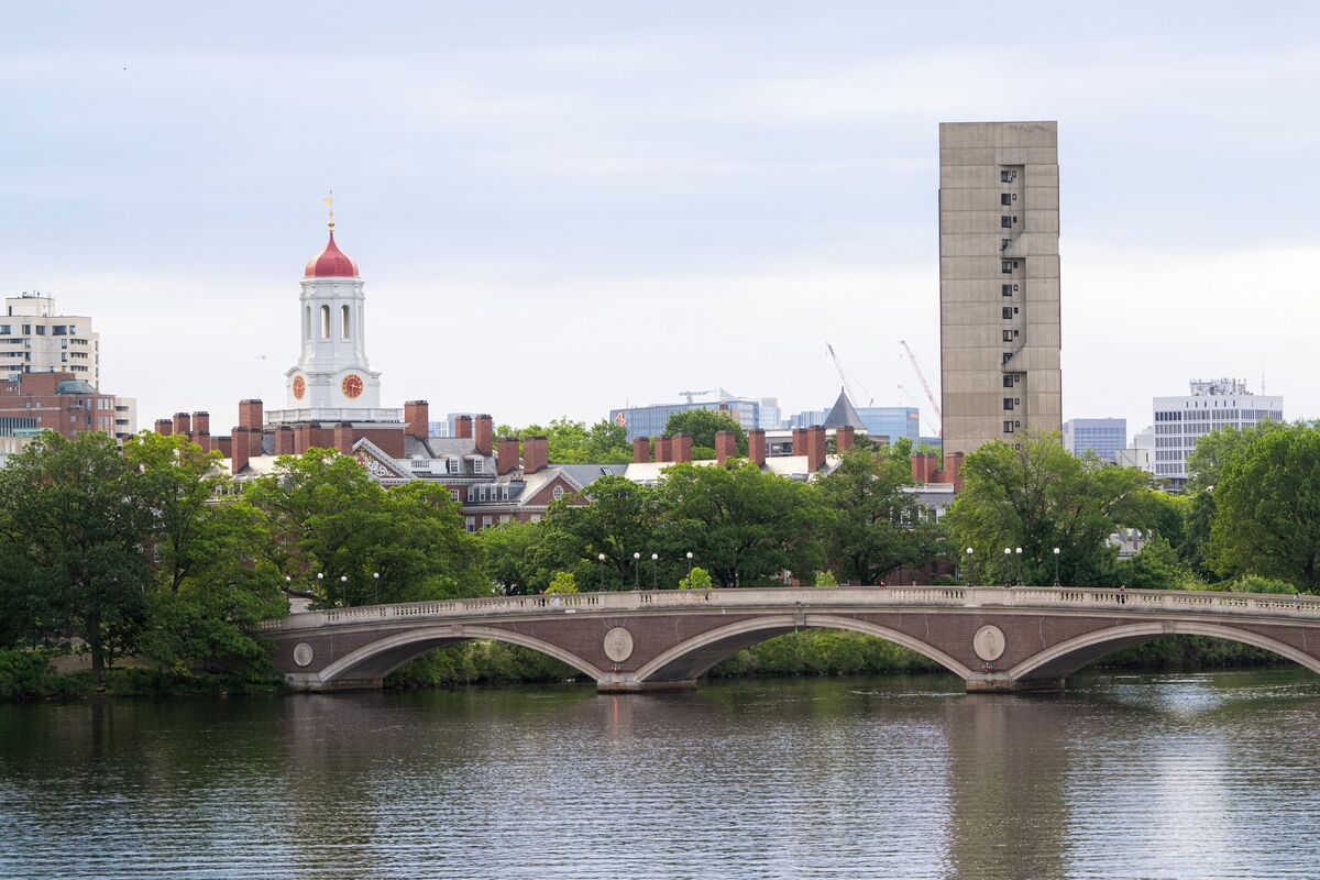 Harvard Deal May Call for Vocational-School Money, Lutnick Says