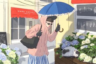 It’s Hot. Why Don’t You Put On a Jacket?