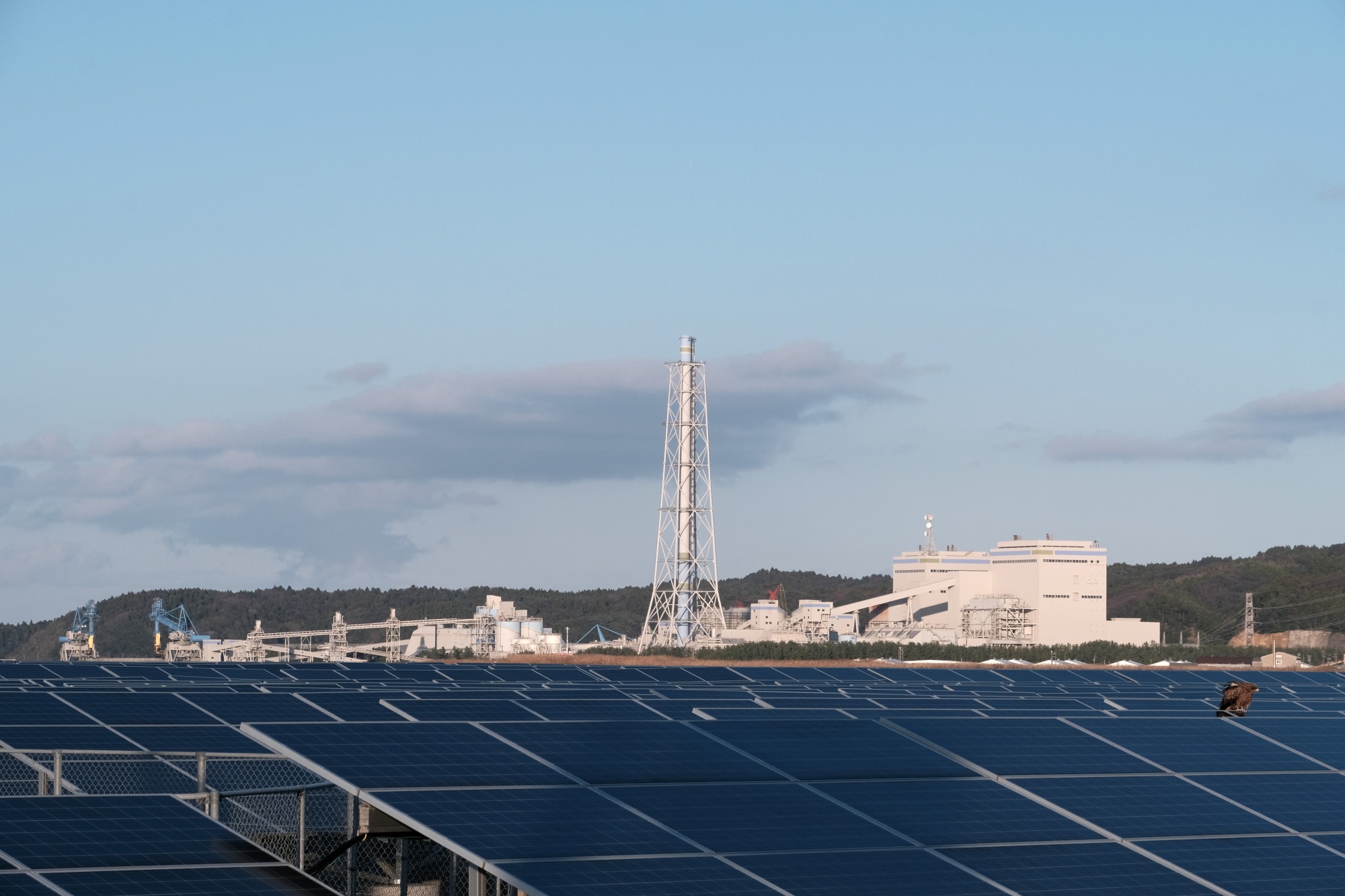 Solar panels near the Nanao Ohta thermal power plant&nbsp;in Nanao, Japan.