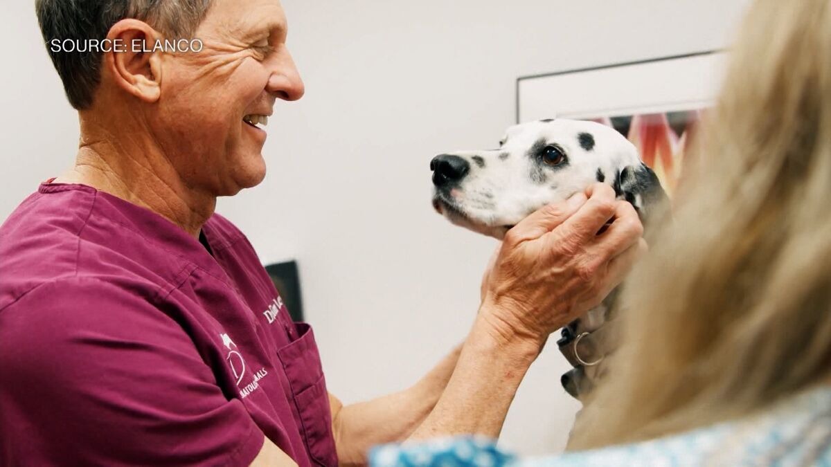 Elanco CEO: GLP-1s are Driving Animal Protein Use