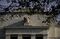 Federal Reserve Board Holds Open Meeting