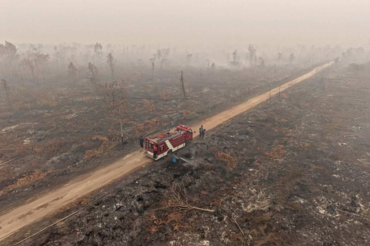 bloomberg.com - Eddie Spence - Indonesia Is Struggling to Fight Wildfires With Disaster Funding Cuts