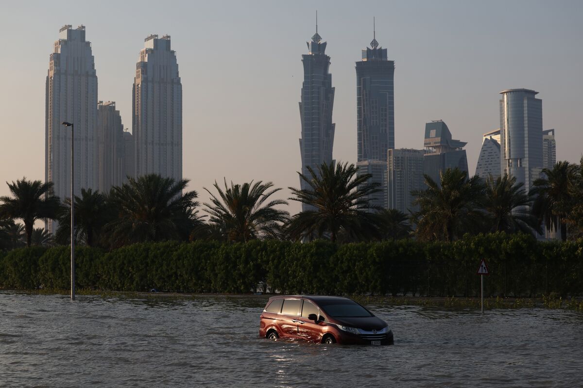UAE Leader Orders Damage Assessment After Record Rainfall