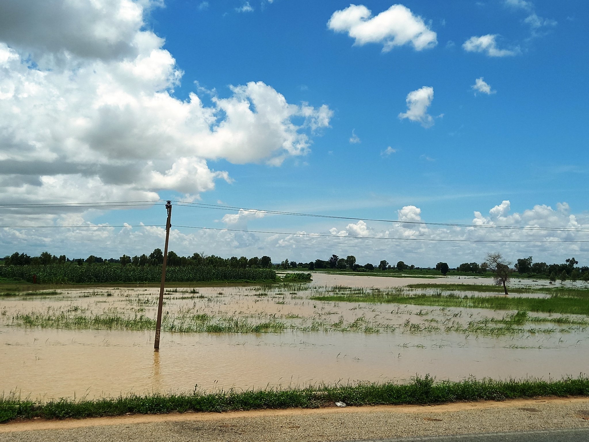 Flooded&nbsp;farmlands in Kebbi State, Nigeria.&nbsp;