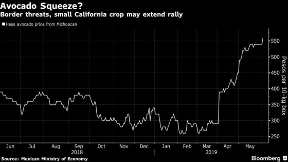 Mexican Avocado Price Jumps to Highest Since August 2017