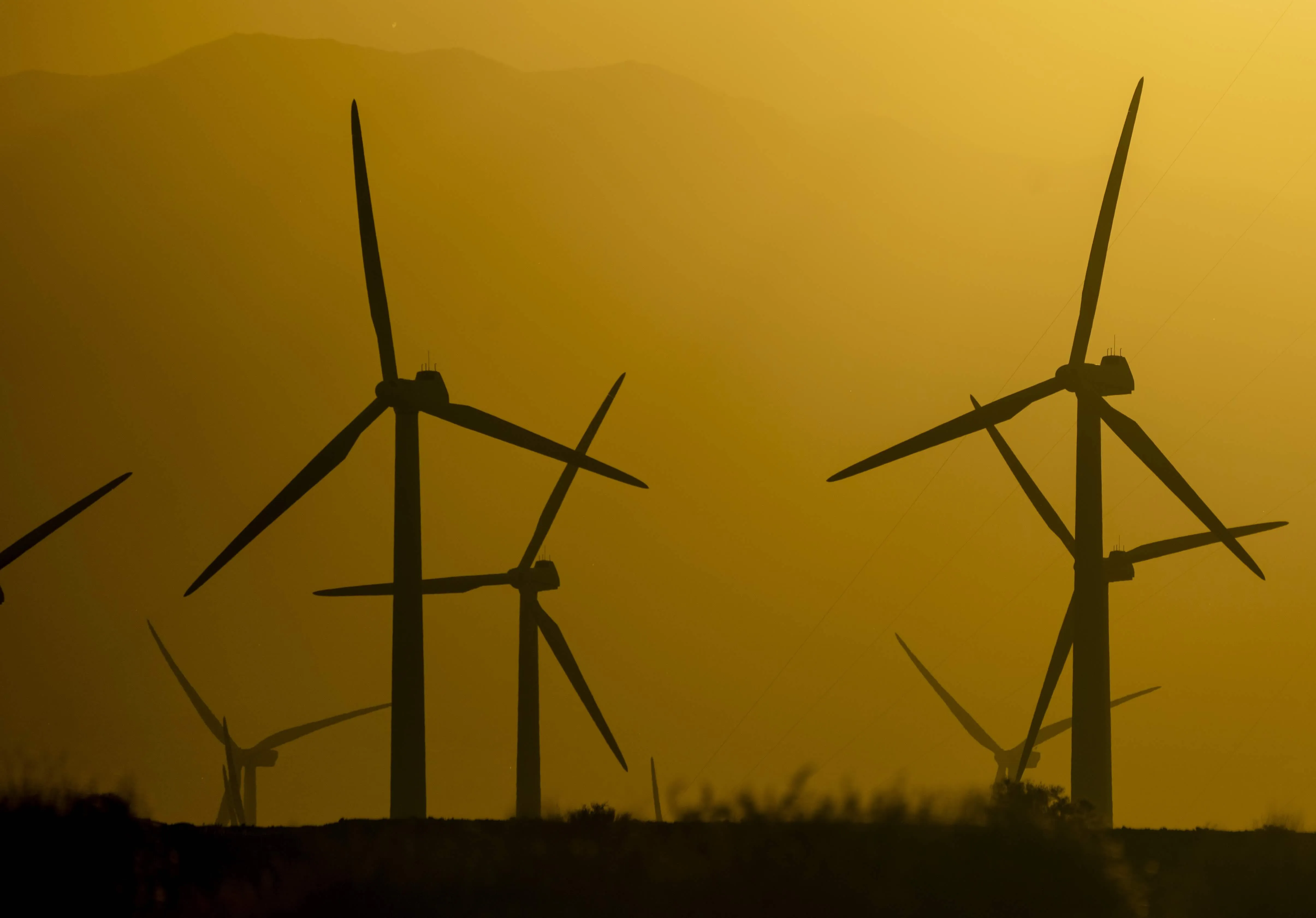 Rows Of Wind Turbines During Sunset