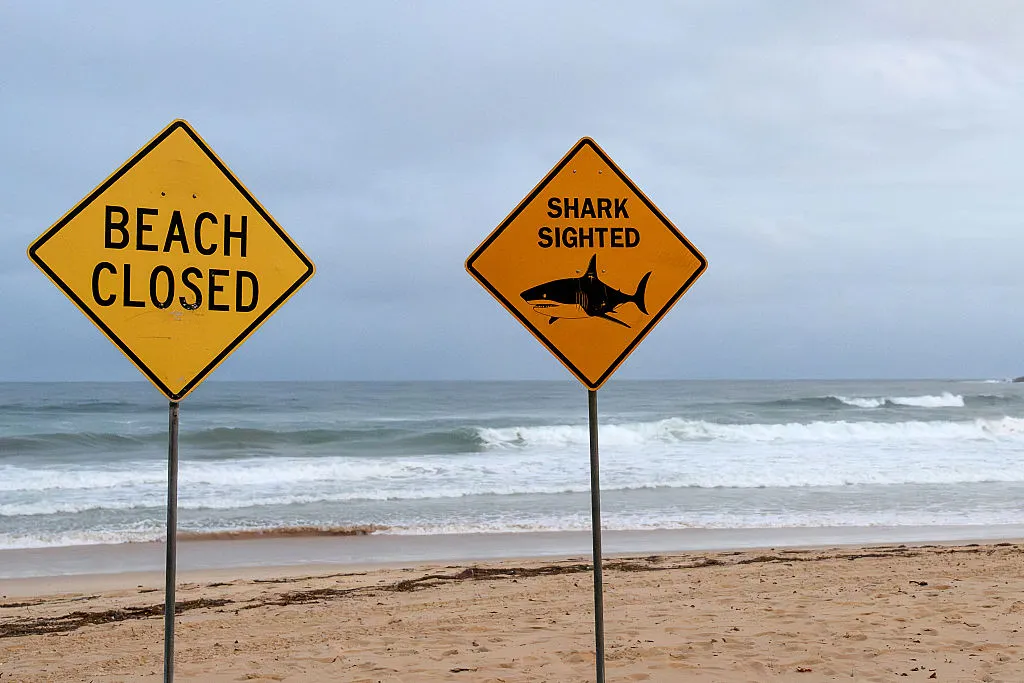 Australia records an average of about 20 shark-related injuries and 2.8 deaths each year.