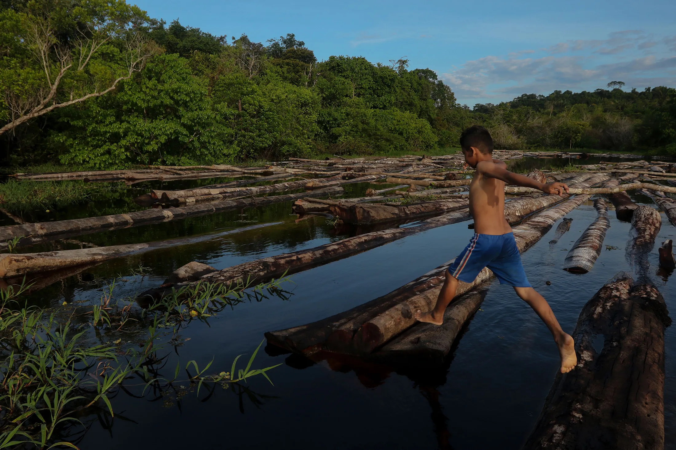 BRAZIL-ENVIRONMENT-AMAZON-WOOD-SEIZURE