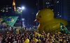 Brazil may be quacking up again.