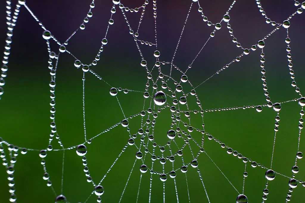 It's easy to get entangled.
