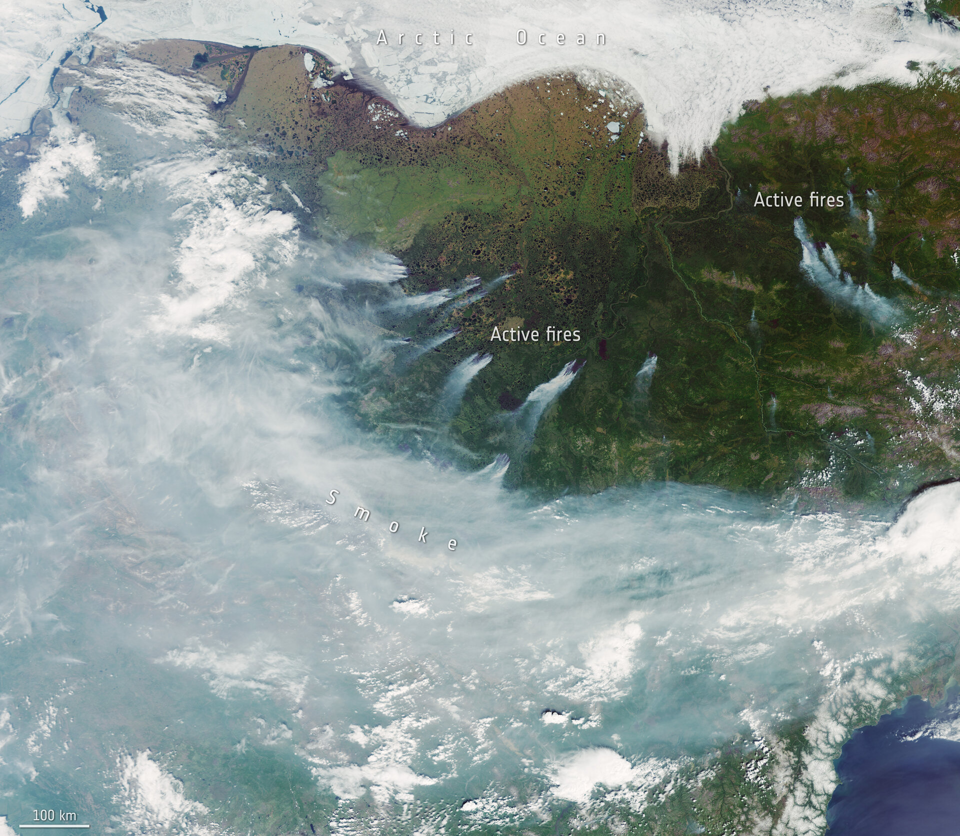 The most notable warming was in the Siberian Arctic, fueling the most active wildfire season in 18 years.