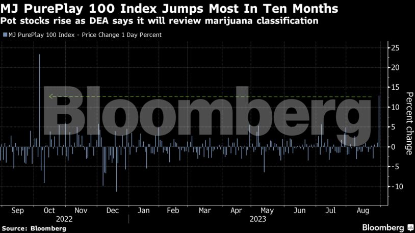 MJ PurePlay 100 Index Jumps Most In Ten Months | Pot stocks rise as DEA says it will review marijuana classification