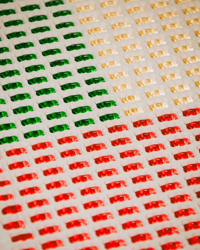 Haribo Goldbear trays filled with the liquid mixture of raw ingredients, or slurry, form the iconic gummi shape