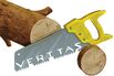Can Timber Rebuild Harvard's Endowment?