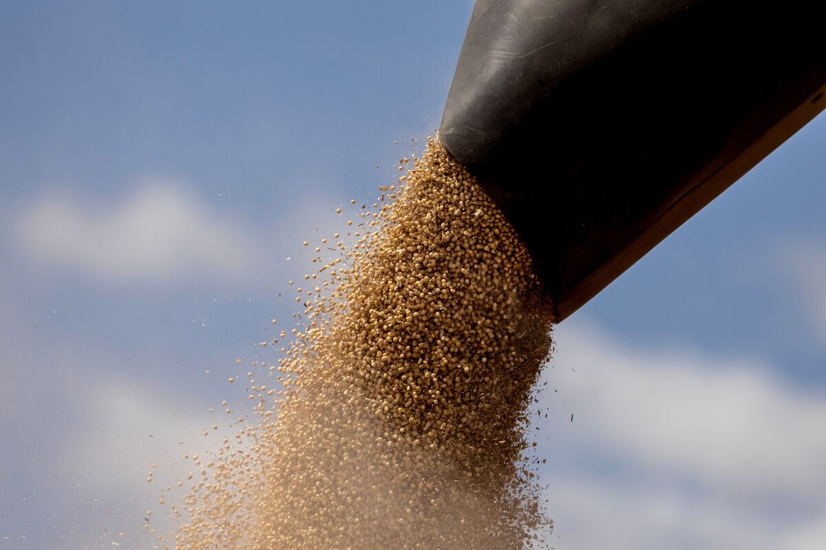Cargill Said to Back Creditor Chasing Stake in Massive Soy Plant