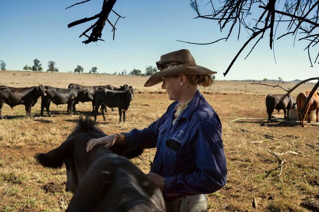 Jemima brushes the back of a cow's neck while other cows look on in the field.