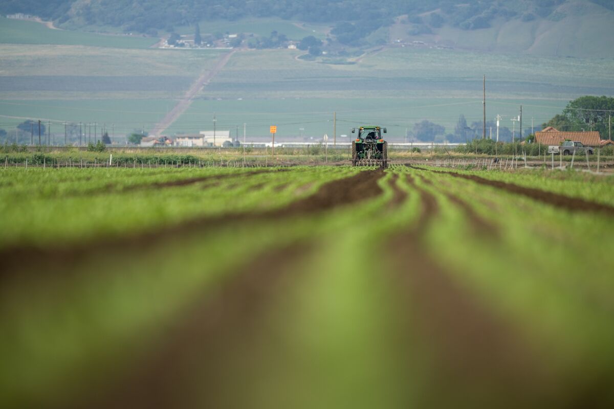G7 Ministers Seek Joint Fertilizer Action as War R