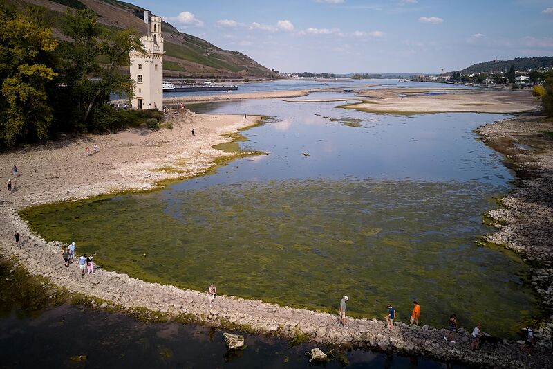 Low water on the Rhine