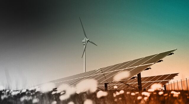 A wind turbine and solar panels in a field of yellow flowers. 