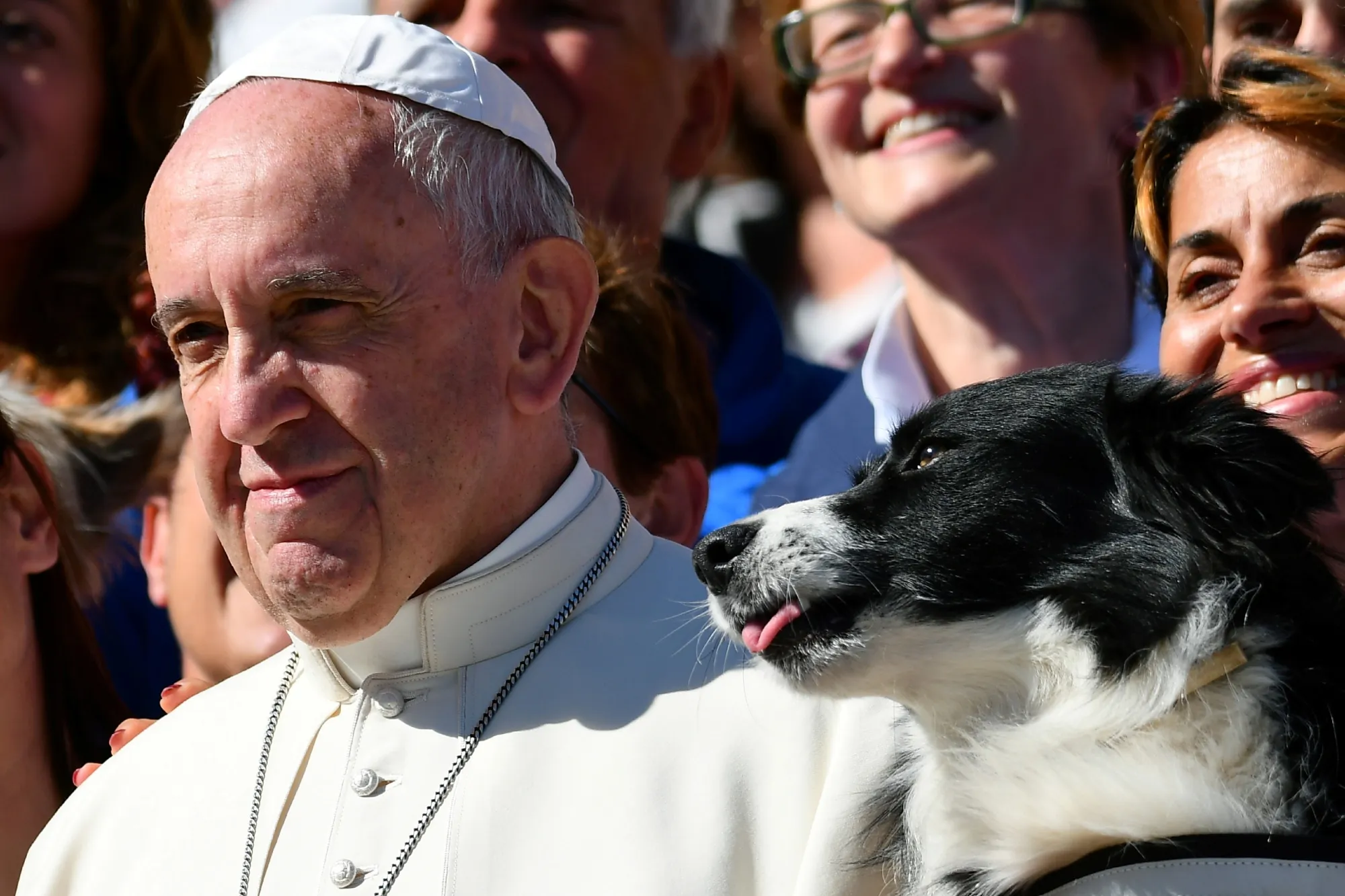I’m with the dog.