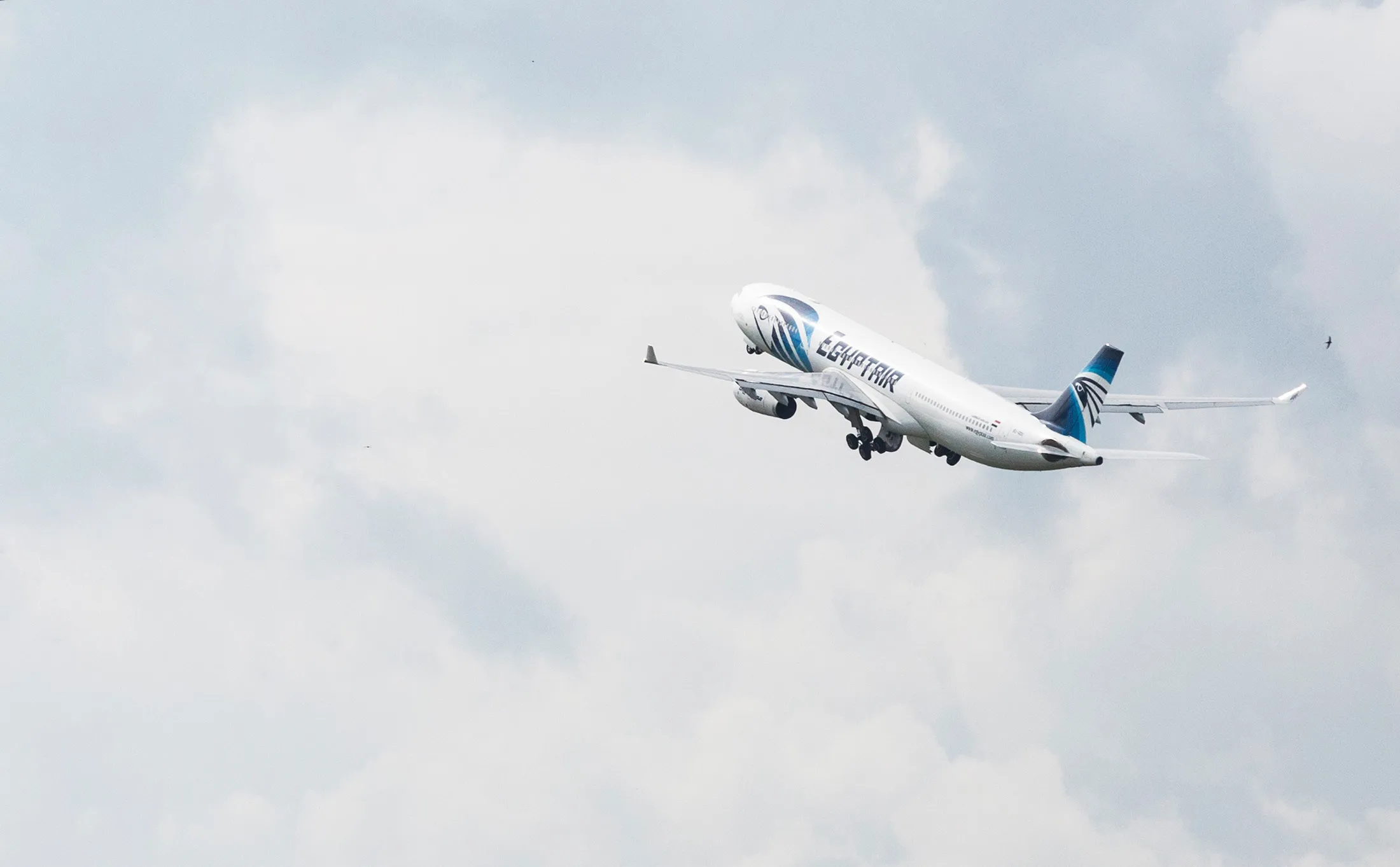 FRANCE EGYPTAIR