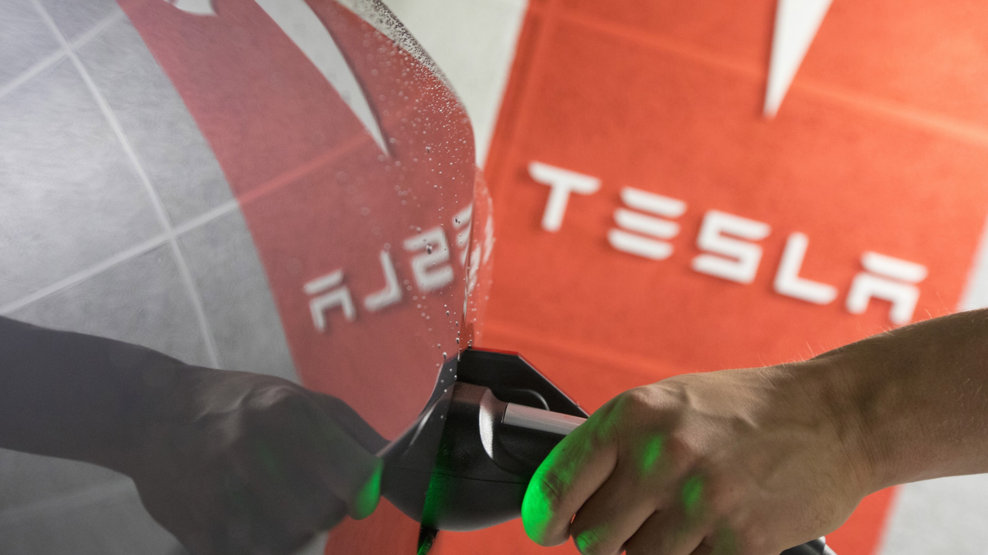 Tesla's Run Has Only Just Begun, Says Ark Investment CEO Bloomberg